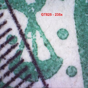 Firefly GT825  Caméra-Microscope polarisant 5 MP _Measurement2